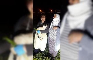 Demir boru içinde mahsur kalan oğlak itfaiye ekipleri...