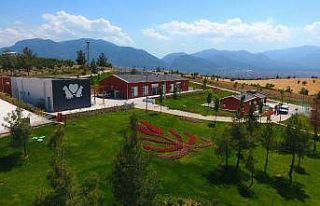 Denizli’de 2 bin 500 sokak hayvanını sahiplendirdi