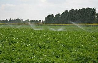 Denizli’de sulu tarımla bu yıl 1.5 milyar TL’lik...