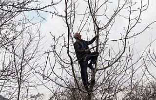 Din görevlileri yaşlıların tarlalarını sürüp...