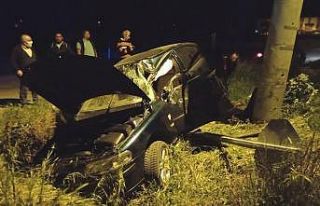 Direksiyon hakimiyetini kaybedince direğe çarparak...