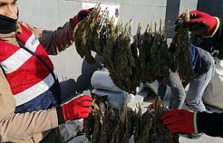 Diyarbakır’da dur ihtarına uymayan araçtan 305...