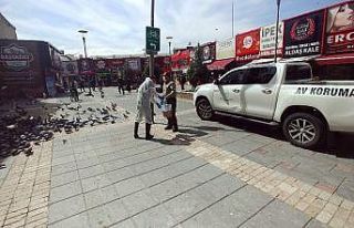 Doğa Koruma ve Milli Parklar Şube Müdürlüğü’nden...