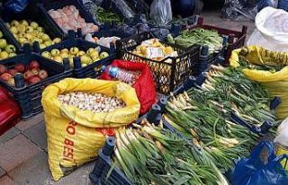 Doğal antibiyotik olan çiriş otu pazardaki yerini...