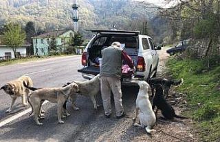 Doğaya yem ve su bırakıldı