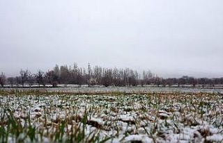 Doğu Anadolu’da hava sıcaklığı mevsim normallerinin...