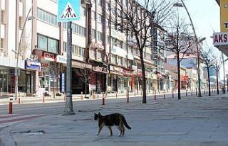 Doğunun gözde kenti Erzurum sessizliğe büründü