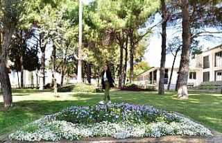 Dokumapark çiçek açtı