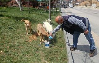 Dört günlük sokağa çıkma yasağında Mamak mesaisi