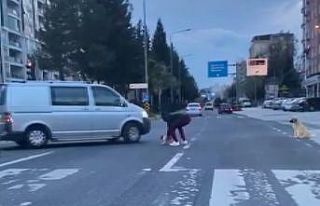 Duyarlı vatandaş anne köpeğin çaresizliğine...