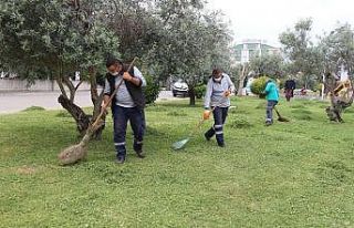 Efeler Belediyesi bahar temizliğine devam ediyor