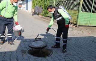Efeler Belediyesi’nden haşerelere geçit yok
