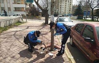 Elazığ polisi, sokak hayvanları için görevde