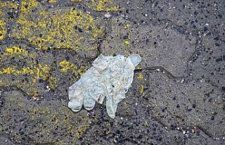 Eldivenlerden yayılan korona virüs tehlikesi