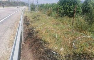 Elektrik teline konan kuş yangın çıkardı