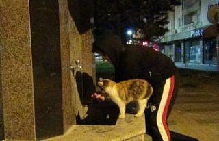 Eliyle kediye su verdi