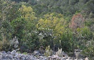 Ellerini dezenfekte ederken 30 metrelik uçurumdan...