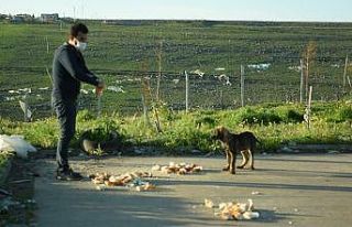 Elleriyle sokak hayvanlarını beslediler