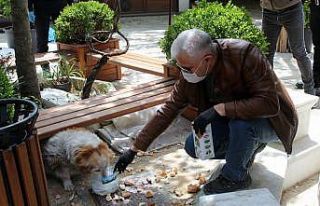 Emniyet müdürü aç kalan köpekleri elleriyle besledi
