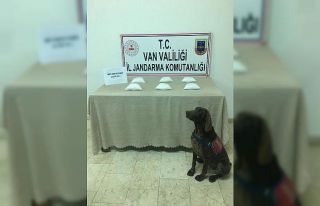 Erciş’te 2 kilo metamfetamin ele geçirildi