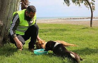 Erdemli’de sokak hayvanları unutulmadı