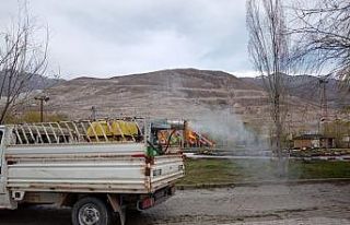 Erzincan’da sinek ve haşerelere karşı larvasit...