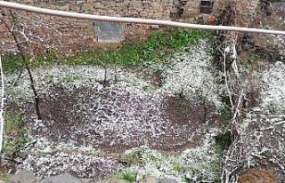 Erzurum’da kar sürprizi