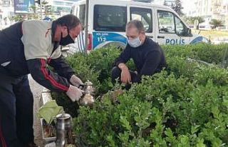Evde kalan vatandaşlar, görev başındaki polisleri...