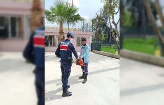 Evden hırsızlık yapan 2 kişi yakalandı