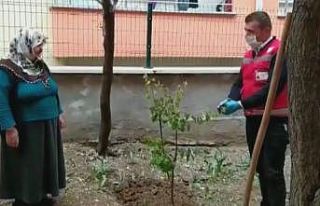 Evinden çıkamayan yaşlı kadın sosyal destek grubundan...