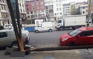 Fırtına ağacı ortadan ikiye ayırdı