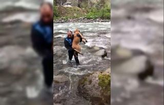 Fırtına Deresi’nde zabıtadan köpek kurtarma...