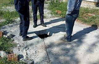 Foseptik çukuruna düşen eşeği kurtarmak için...