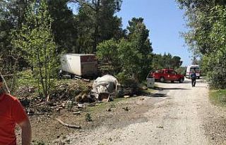 Freni boşalan kamyon ormana daldı