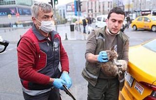Gaziosmanpaşa’da taksinin altında sıkışan kediyi...