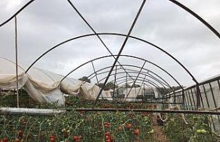 Gece 3’e kadar nöbet tutup sabah seranın yerle...