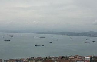 Gemiler fırtına dolayısıyla limana demirledi