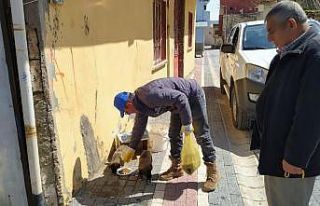 Gercüş’te sokak hayvanları için mama ve su bırakıldı