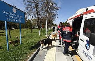Gölbaşı’da karantina bölgesinden alınan sokak...