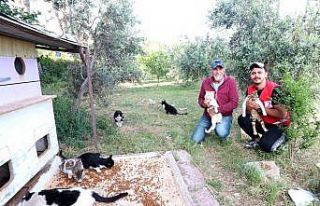 Gönüllü gençlerden "Mamanı al bize katıl"...