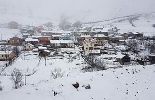 Gümüşhane’nin yüksek kesimlerinde kar yağışı...