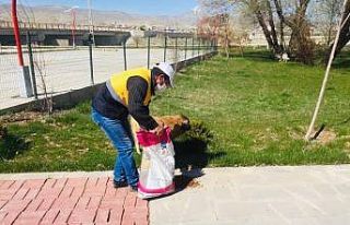 Gürpınar’da sokak hayvanları unutulmadı