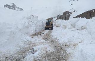 Hakkari’de 5 metreyi bulan karda yol açma çalışması