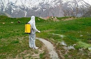 Hakkari’de larva ile mücadele çalışması