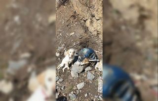 Hakkari’de TNT ve C4 ile güçlendirilmiş el yapımı...