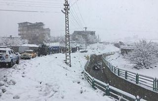 Hakkari’de trafik kazası: 5 yaralı