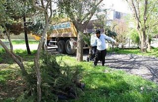 Haliliye kırsalında vatandaşlara fidan dağıtıldı