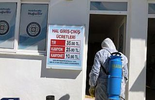 Hallerde dezenfekte çalışması