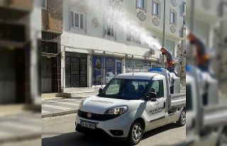 Haşereler ve sivrisineklerle mücadele sürüyor
