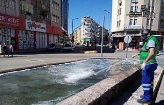 Haşereyle mücadele sürüyor